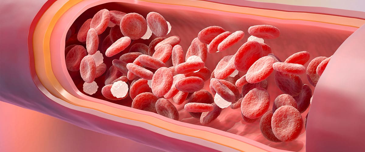 Vorschaubild des Gen-Panels zur Diagnose erblich bedingter Blutbildungsdefekte