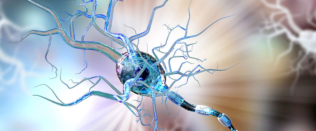 Vorschaubild des Gen-Panels zur Diagnose erblich bedingter Epilepsie und Hirnentwicklungsstörungen