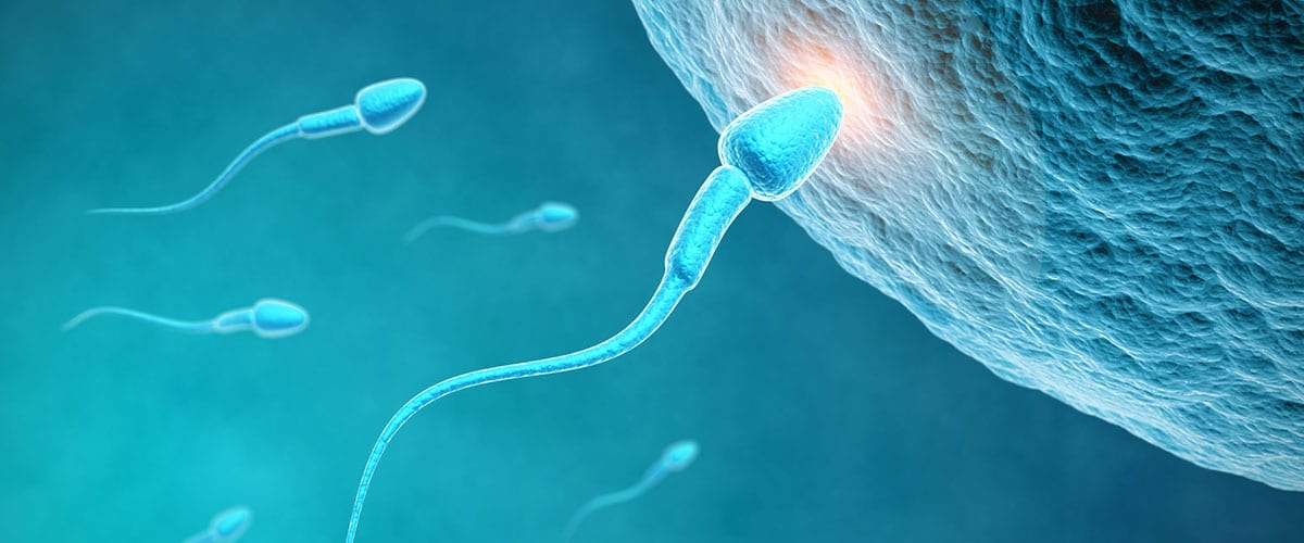 Vorschaubild des Gen-Panels zur Diagnose erblich bedingter Fertilität