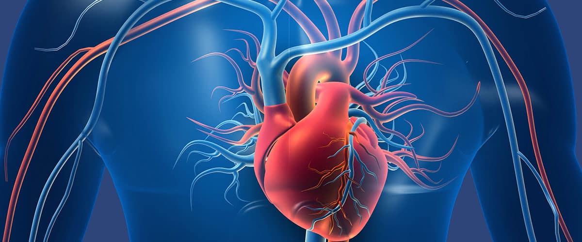 Vorschaubild des Gen-Panels zur Diagnose erblich bedingter Herzerkrankungen