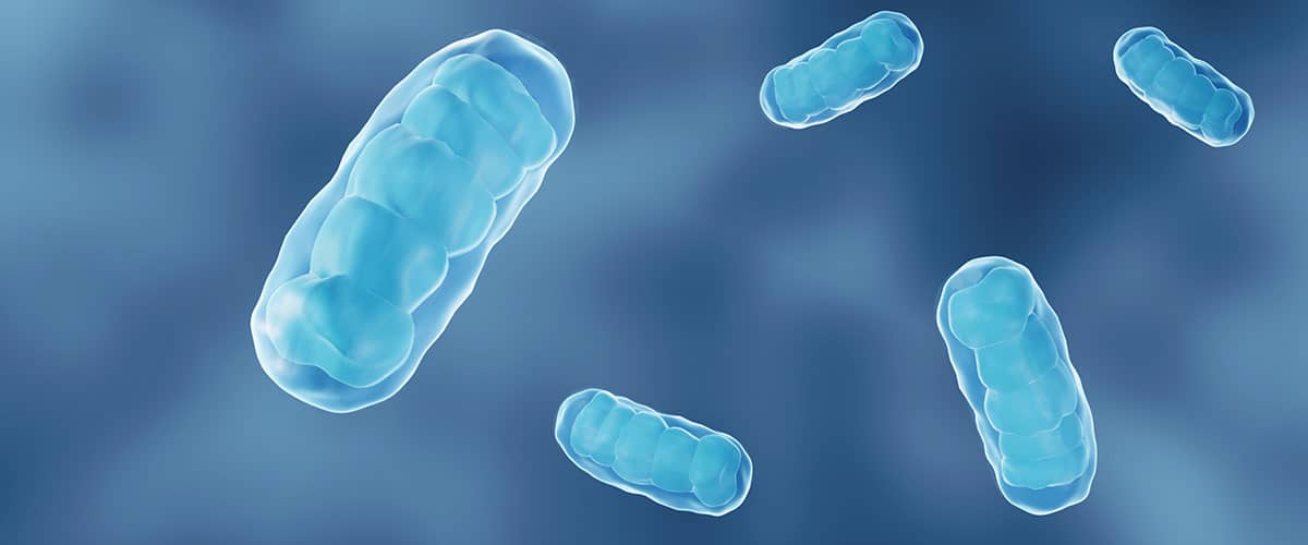 Vorschaubild des Gen-Panels zur Diagnose erblich bedingter Stoffwechselerkrankungen inkl. Mitochondriopathien