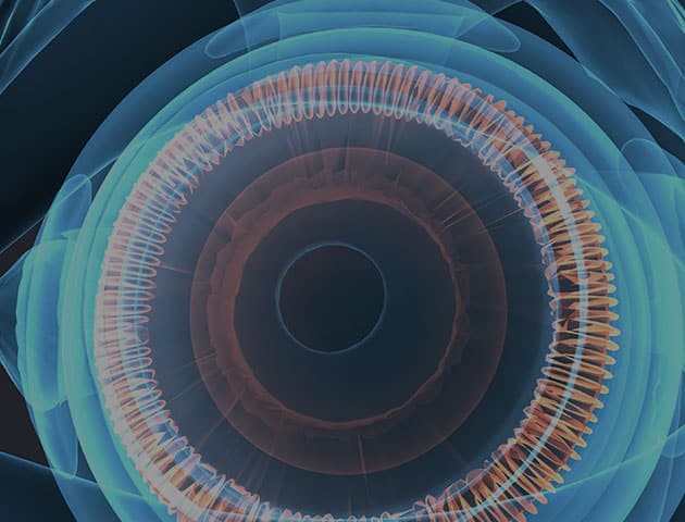 Vorschaubild des Gen-Panels zur Diagnose erblich bedingter Augenerkrankungen.