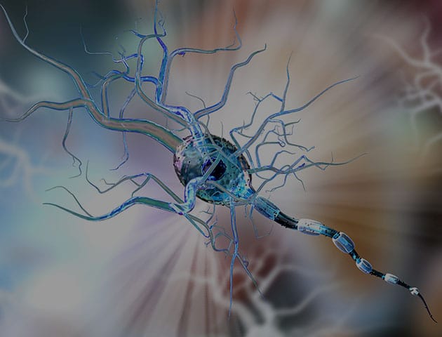 Vorschaubild des Gen-Panels zur Diagnose erblich bedingter Epilepsie und Hirnentwicklungsstörungen