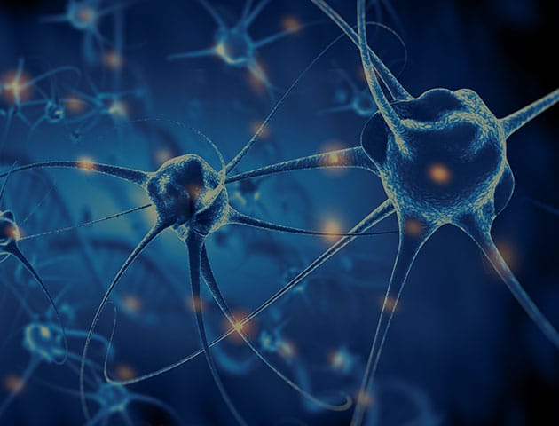 Vorschaubild des Gen-Panels zur Diagnose erblich bedingter neurodegenerativer Erkrankungen und Bewegungsstörungen