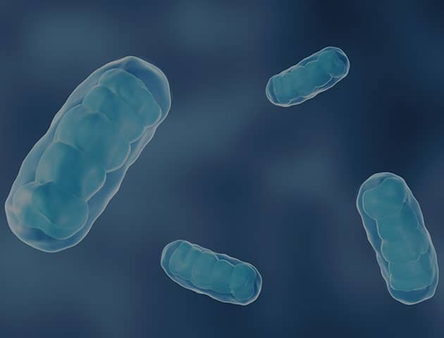 Vorschaubild des Gen-Panels zur Diagnose erblich bedingter Stoffwechselerkrankungen inkl. Mitochondriopathien